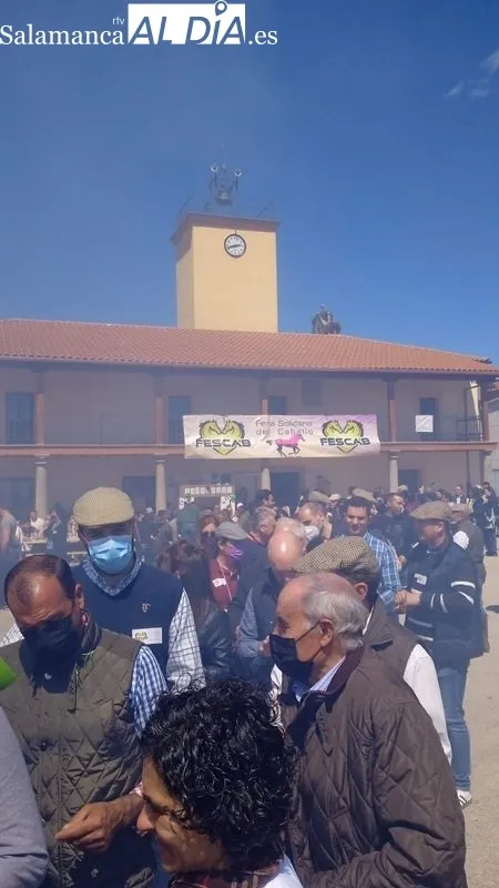 Parrillada y paella solidaria para 800 personas / HUERTOS