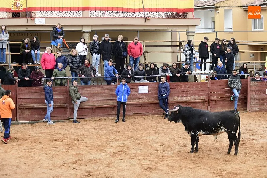 Gallegos de Argañán vive sus fiestas con más ilusión que nunca/ Rep. gráfico: Adrián M Pastor