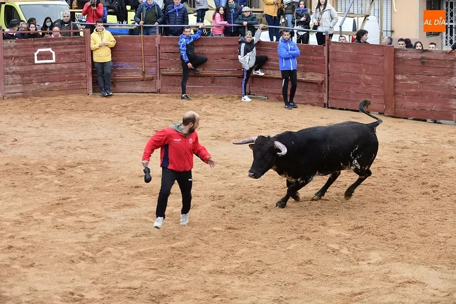 Gallegos de Argañán vive sus fiestas con más ilusión que nunca/ Rep. gráfico: Adrián M Pastor