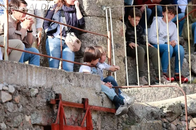 Festejo taurino en la Plaza de Toros de Buenamadre