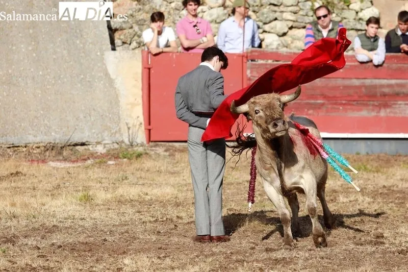 Festejo taurino en la Plaza de Toros de Buenamadre