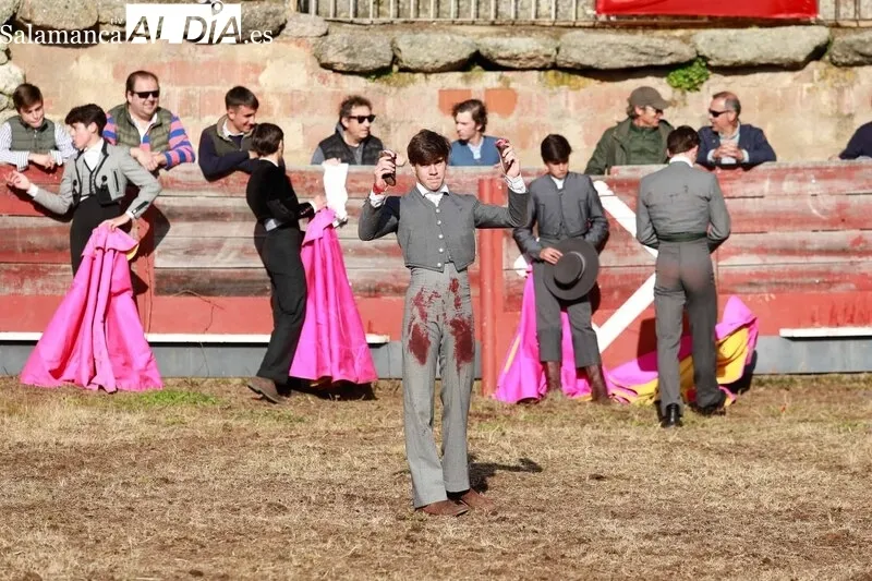 Festejo taurino en la Plaza de Toros de Buenamadre
