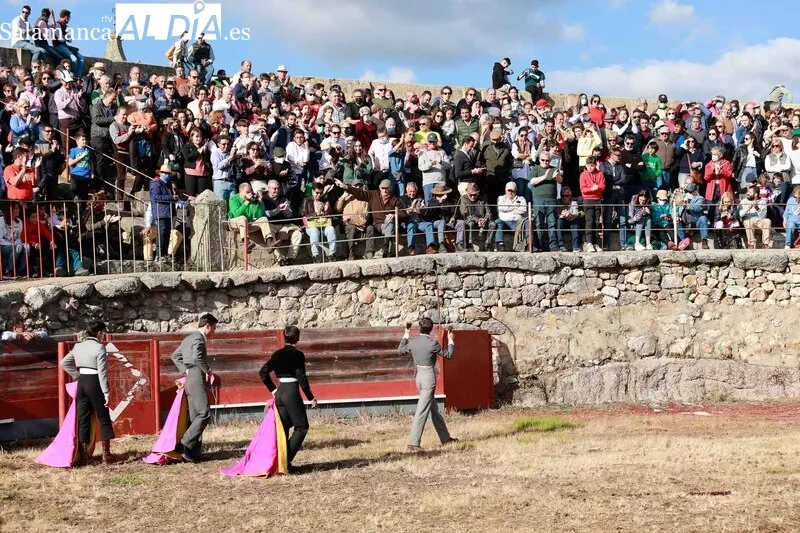 Festejo taurino en la Plaza de Toros de Buenamadre
