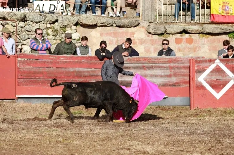 Festejo taurino en la Plaza de Toros de Buenamadre