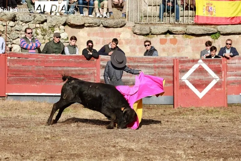 Festejo taurino en la Plaza de Toros de Buenamadre