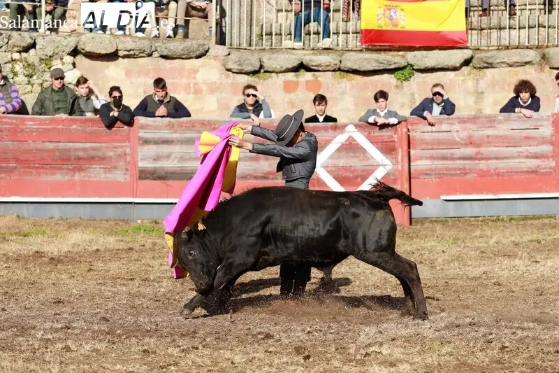 Festejo taurino en la Plaza de Toros de Buenamadre