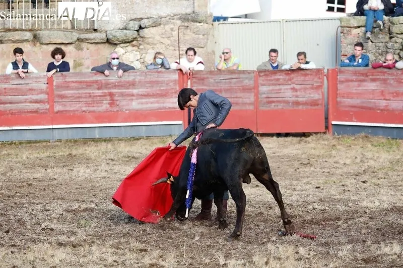 Festejo taurino en la Plaza de Toros de Buenamadre