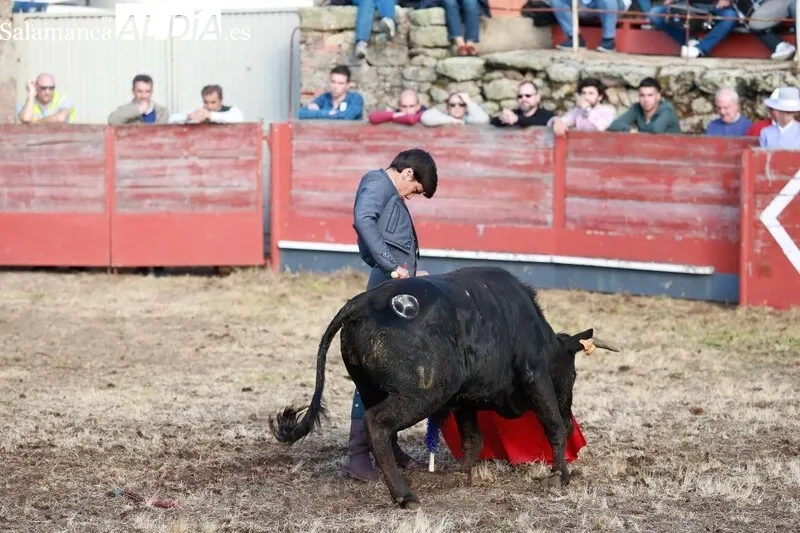 Festejo taurino en la Plaza de Toros de Buenamadre