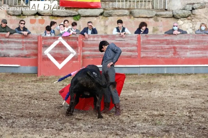 Festejo taurino en la Plaza de Toros de Buenamadre