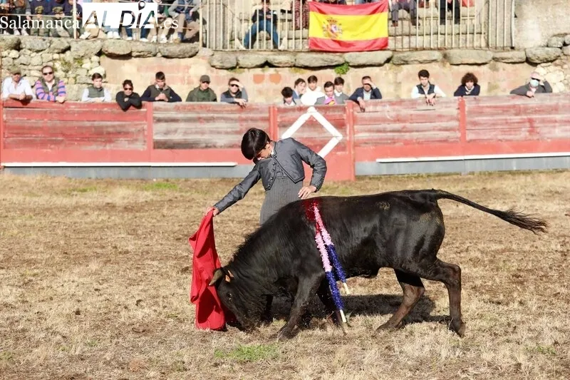 Festejo taurino en la Plaza de Toros de Buenamadre