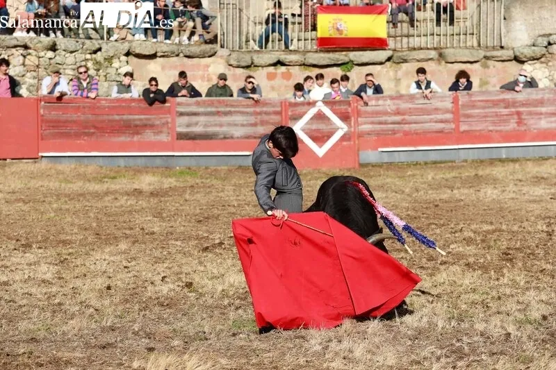 Festejo taurino en la Plaza de Toros de Buenamadre