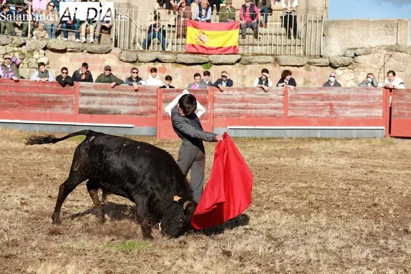 Festejo taurino en la Plaza de Toros de Buenamadre