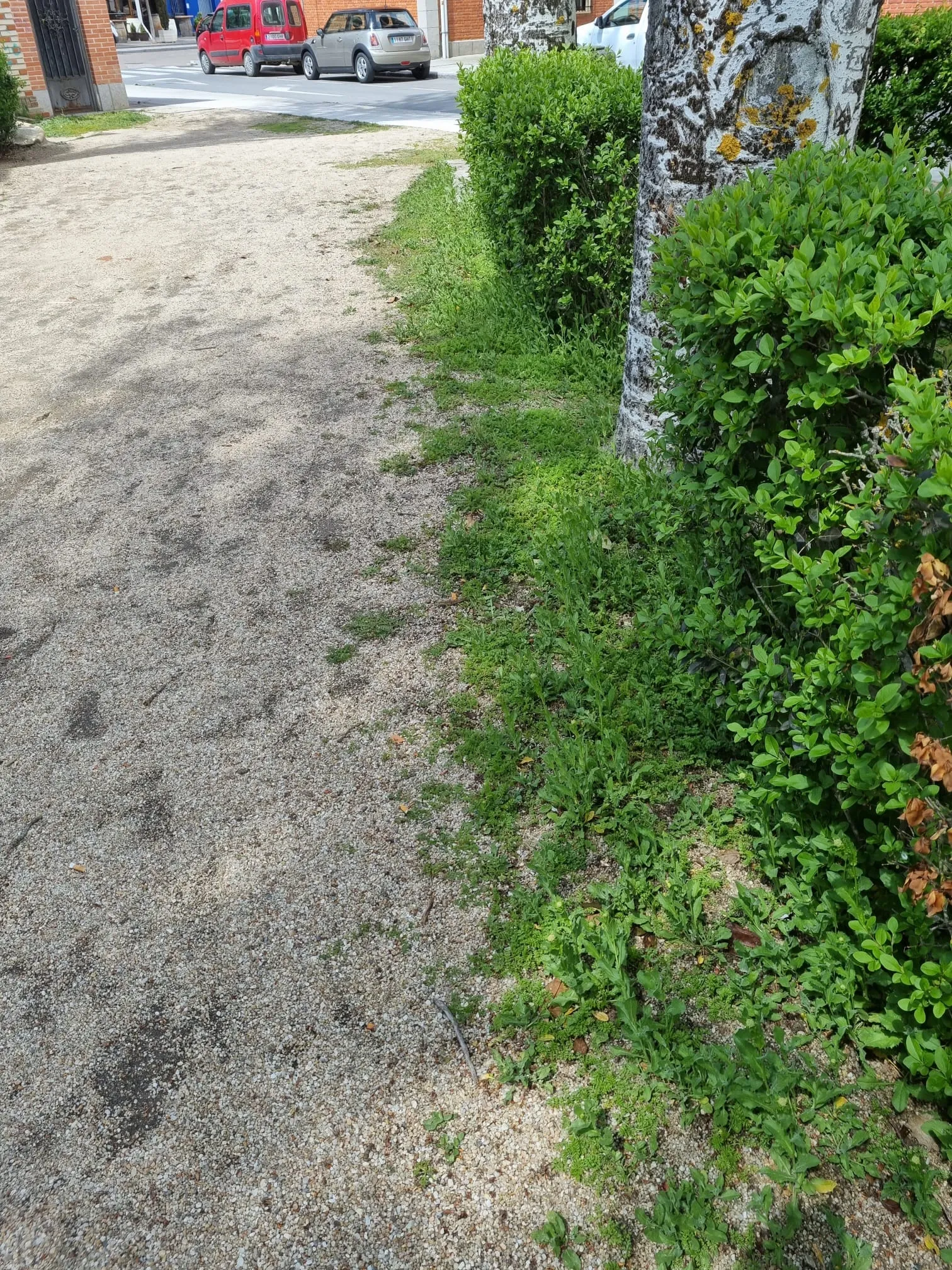 Imágenes del parque Los Jardines aportadas por el PP