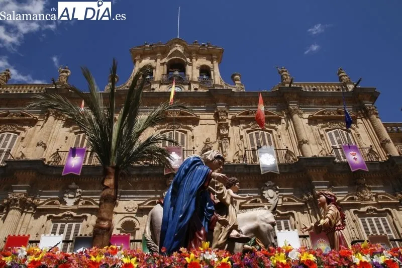 Procesión de La Borriquilla de la Hermandad Jesús Amigo de los Niños en Salamanca - Fotos: David Sañudo