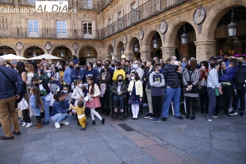Procesión de La Borriquilla de la Hermandad Jesús Amigo de los Niños en Salamanca - Fotos: David Sañudo
