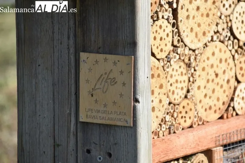 La concejala de Medio Ambiente, Miryam Rodríguez, presenta los ‘hoteles de insectos’, la nueva iniciativa de lucha biológica contra plagas del proyecto LIFE Vía de la Plata. Foto de Vanesa Martins