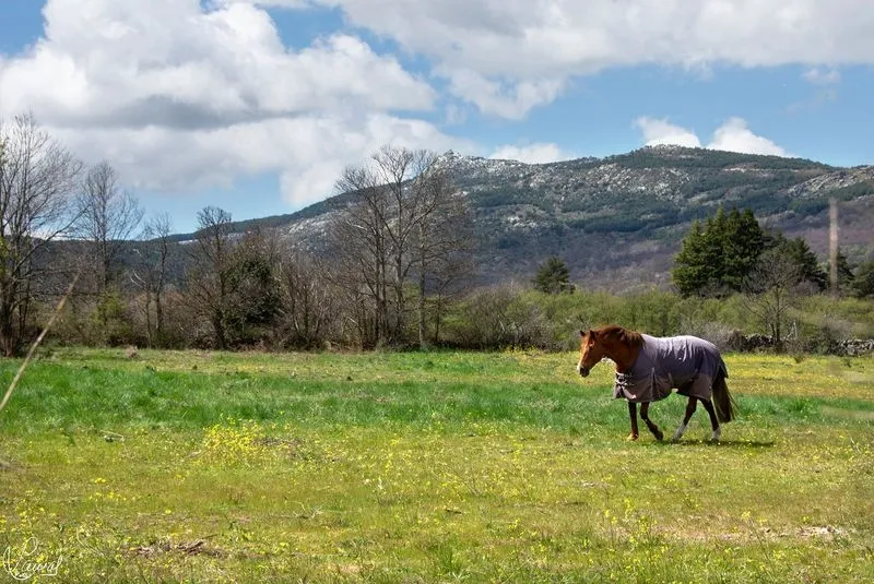 Paisajes captados por el fotógrafo Manuel Lamas tras una ruta por Candelario