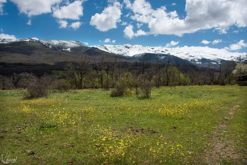 Paisajes captados por el fotógrafo Manuel Lamas tras una ruta por Candelario