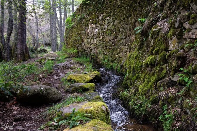Paisajes captados por el fotógrafo Manuel Lamas tras una ruta por Candelario