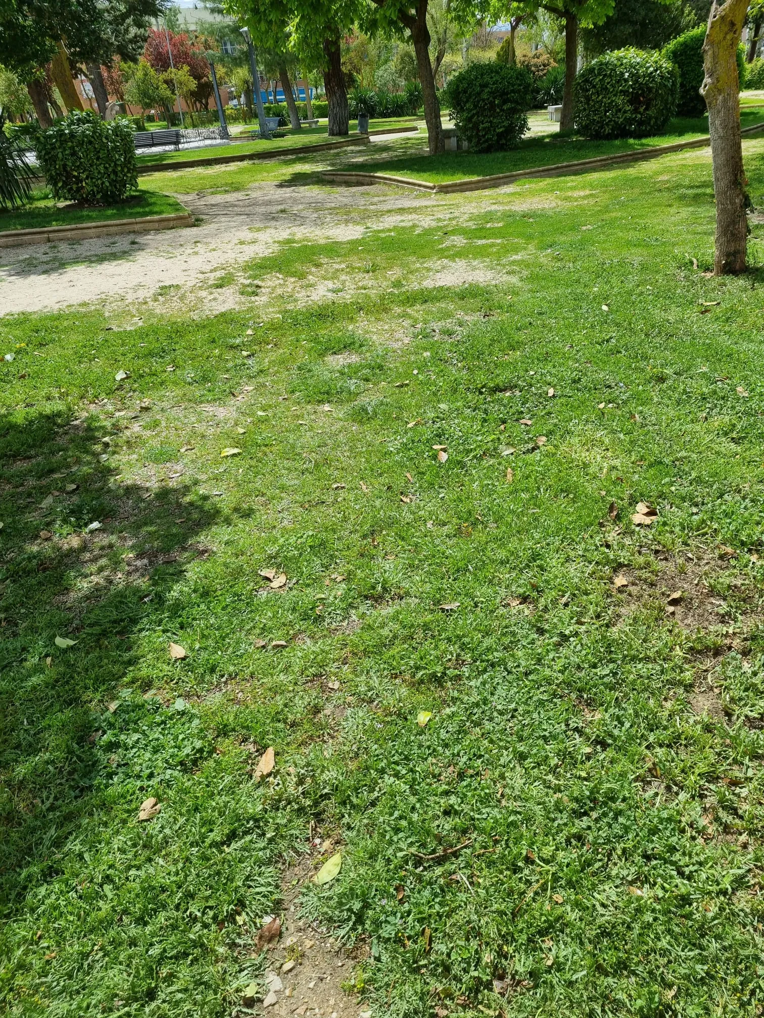 Imágenes del parque Los Jardines aportadas por el PP
