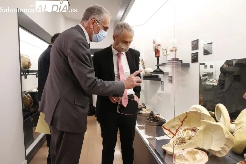 Exposición permanente de la colección de ceras anatómicas en la Facultad de Medicina de Salamanca. Foto de David Sañudo