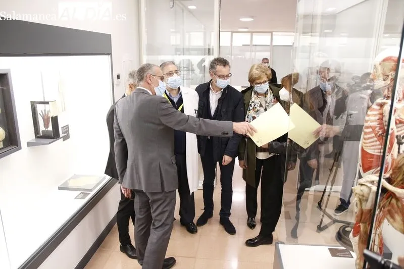 Exposición permanente de la colección de ceras anatómicas en la Facultad de Medicina de Salamanca. Foto de David Sañudo