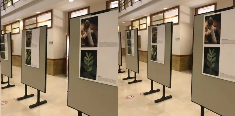 Exposición del fotógrafo brasileño Igor Georgios Fotopoulos en el edificio FES del Campus Unamuno. Foto USAL
