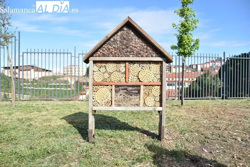 La concejala de Medio Ambiente, Miryam Rodríguez, presenta los ‘hoteles de insectos’, la nueva iniciativa de lucha biológica contra plagas del proyecto LIFE Vía de la Plata. Foto de Vanesa Martins