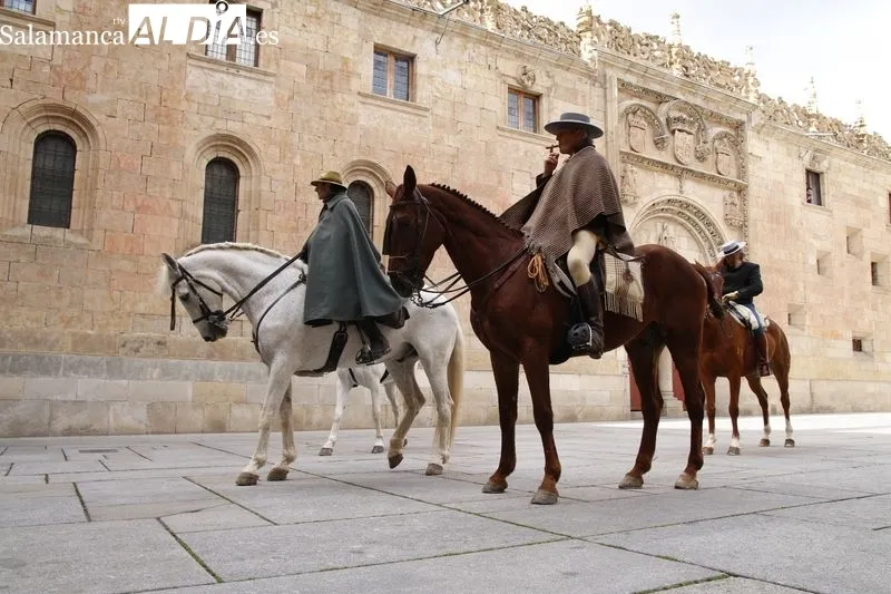 Llegada a Salamanca de la Ruta Ecuestre Nebrisense, con tres jinetes que emulan el recorrido que llevó a cabo Elio Antonio de Nebrija. Foto David Sañudo