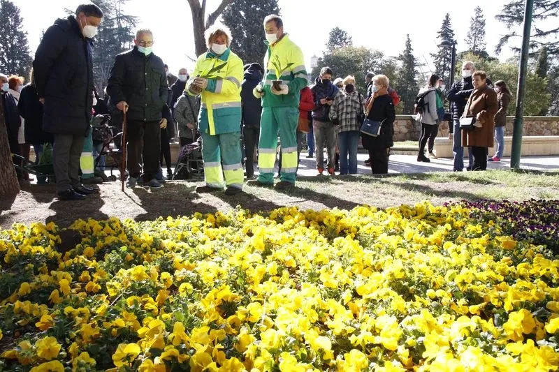 Plantación de tulipanes en el Campo de San Francisco. Foto de David Sañudo