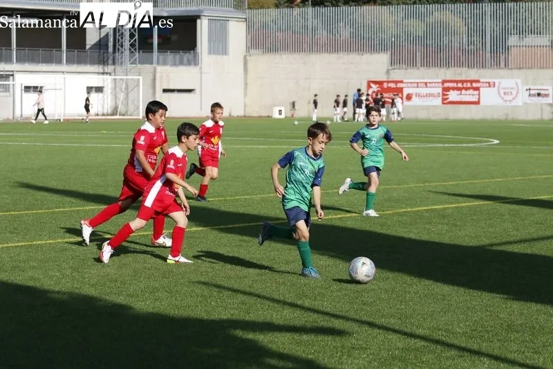 Galería de imágenes del Navega - Villares de Primera Benjamín / Fotos: David Sañudo