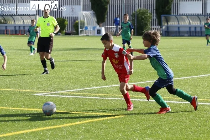 Galería de imágenes del Navega - Villares de Primera Benjamín / Fotos: David Sañudo