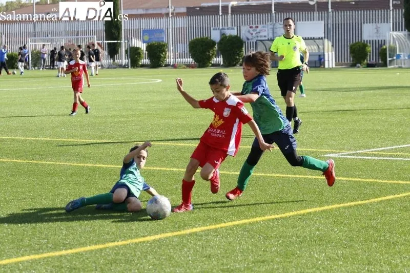 Galería de imágenes del Navega - Villares de Primera Benjamín / Fotos: David Sañudo