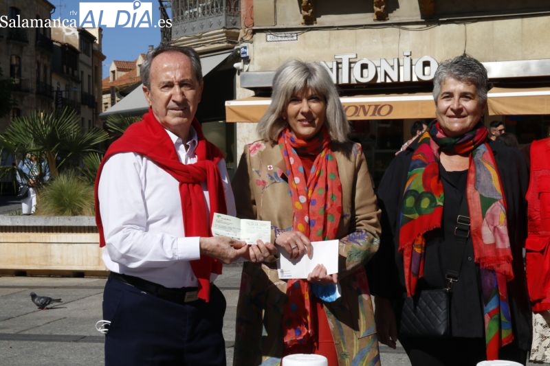 La diputada provincial, Eva Picado, entrega el donativo de la Diputación a Cruz Roja - David Sañudo