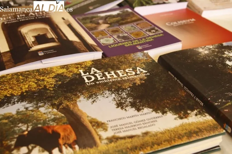 Inauguración de la XL Feria del Libro con la presentación de 'El manuscrito de niebla' de Luis García Jambrina - David Sañudo