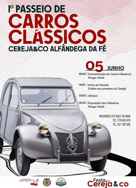 Foto 5 - La cereza de Alf&acirc;ndega da F&eacute; se promociona en Salamanca