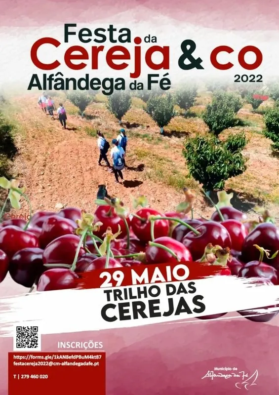 Foto 4 - La cereza de Alf&acirc;ndega da F&eacute; se promociona en Salamanca