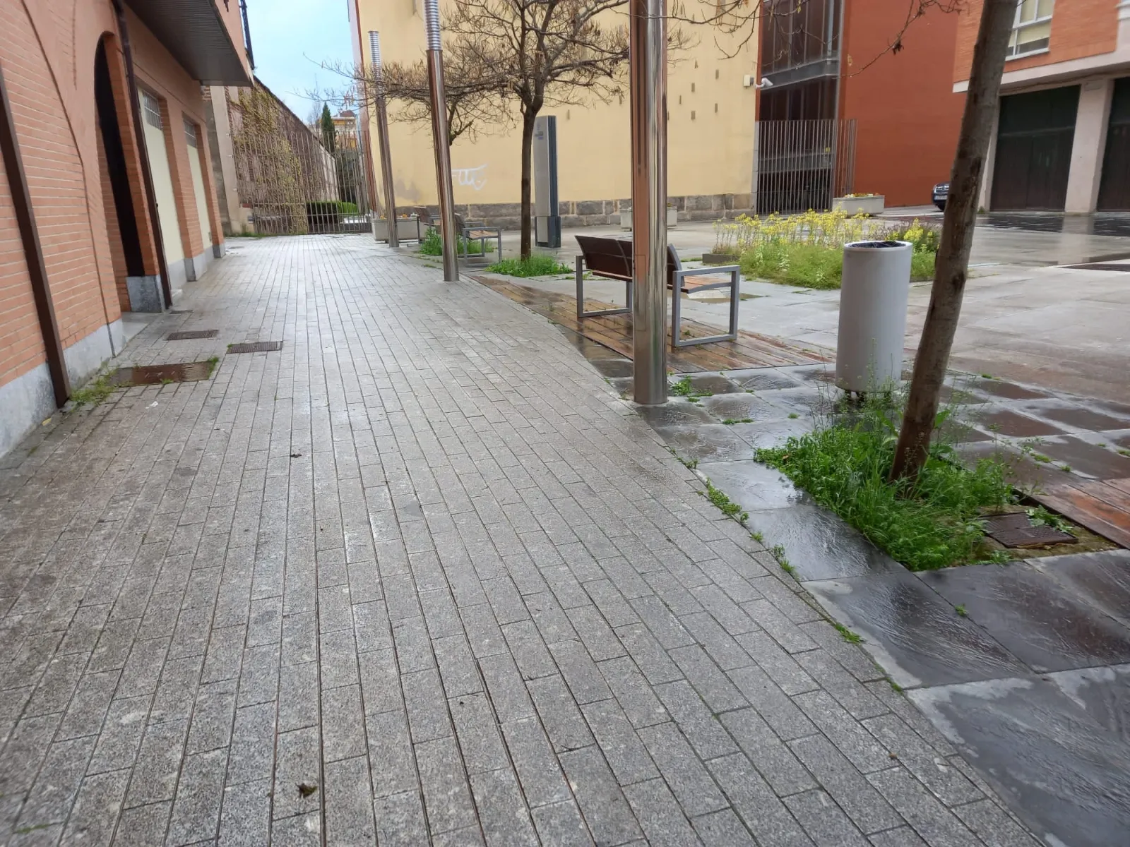 Foto 7 - Ciudadanos pide "tomar cartas en el asunto" en la mejora de las zonas verdes de la ciudad