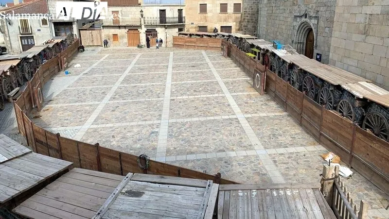 Encierros a caballo de los novillos desde el campo a la plaza de carros que acogerá las capeas