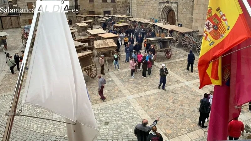 Encierros a caballo de los novillos desde el campo a la plaza de carros que acogerá las capeas