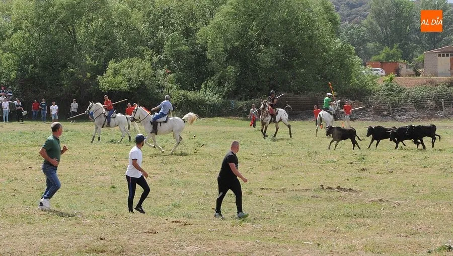 Encierro a Caballo Águeda| Fotos: Sergio Martín