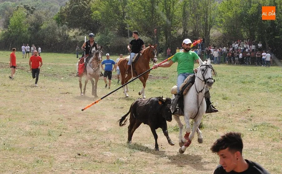 Encierro a Caballo Águeda| Fotos: Sergio Martín