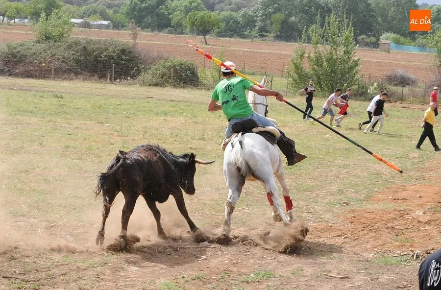 Encierro a Caballo Águeda| Fotos: Sergio Martín