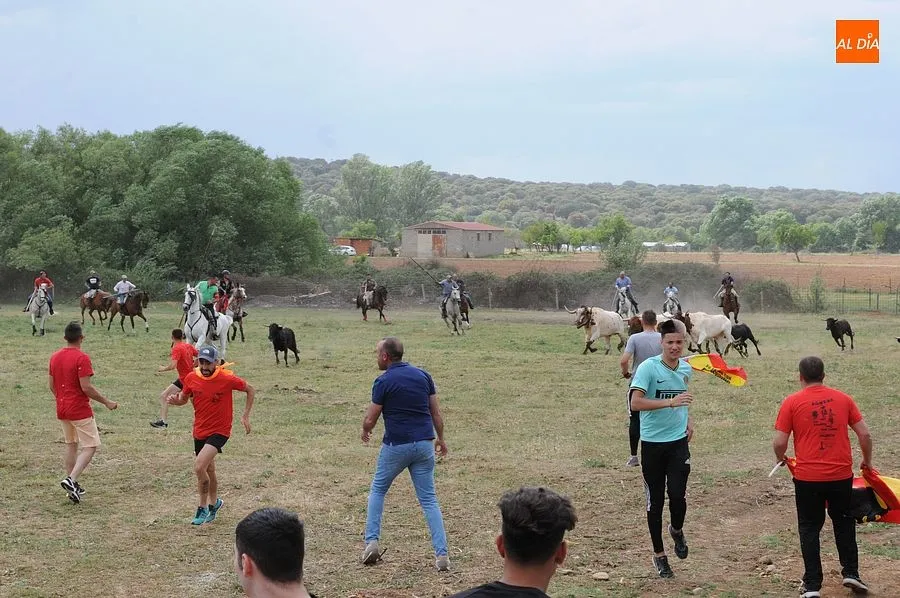 Encierro a Caballo Águeda| Fotos: Sergio Martín