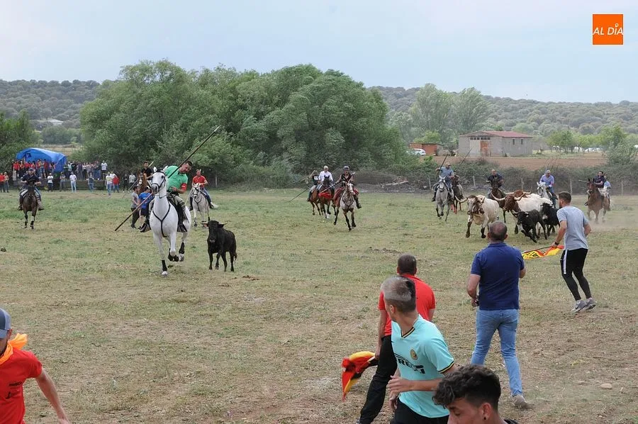 Encierro a Caballo Águeda| Fotos: Sergio Martín