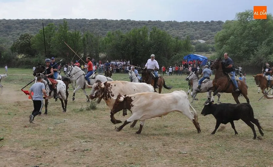 Encierro a Caballo Águeda| Fotos: Sergio Martín