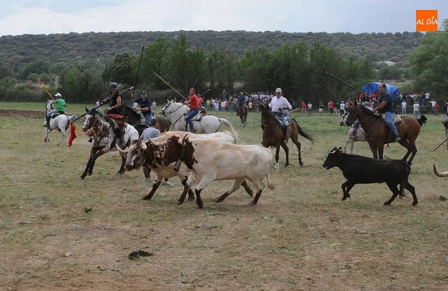 Encierro a Caballo Águeda| Fotos: Sergio Martín