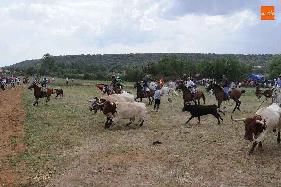 Encierro a Caballo Águeda| Fotos: Sergio Martín