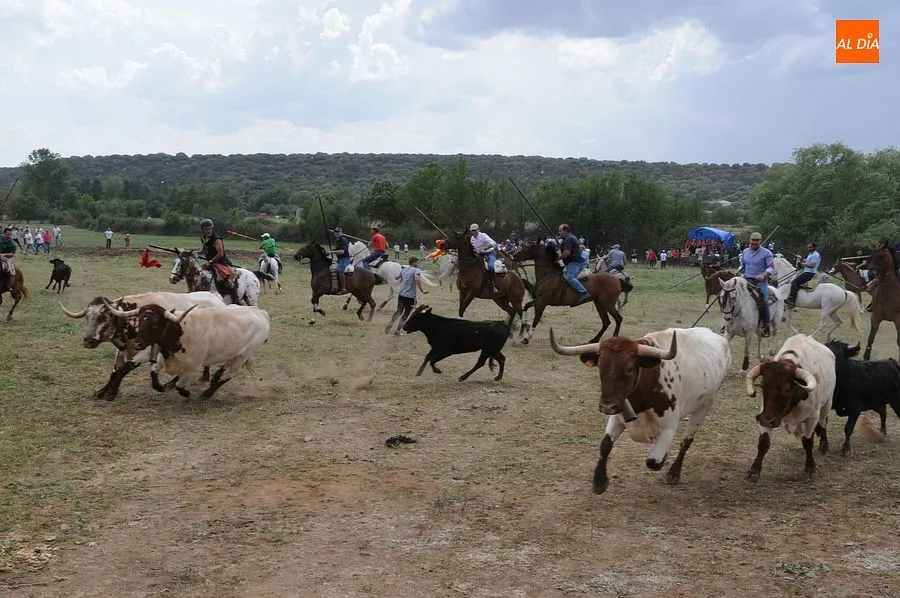 Encierro a Caballo Águeda| Fotos: Sergio Martín