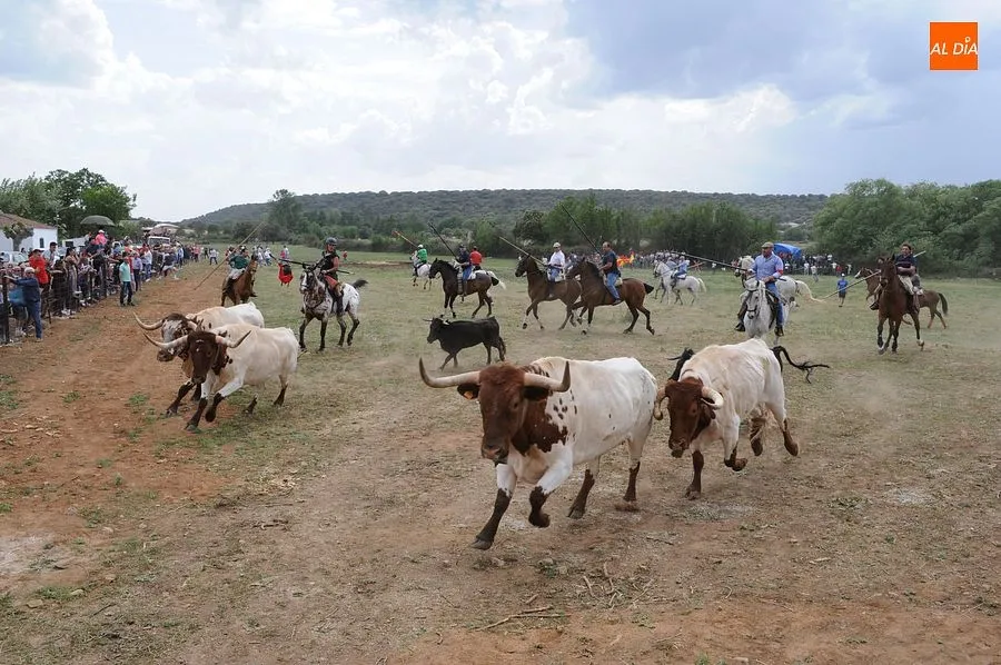 Encierro a Caballo Águeda| Fotos: Sergio Martín